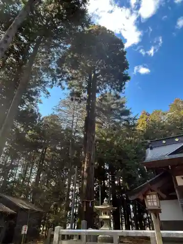 大宮五十鈴神社(長野県)