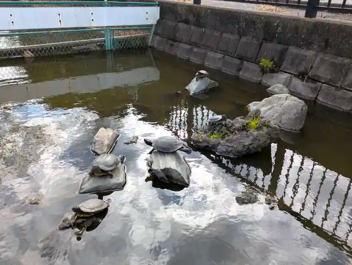 法華経寺(千葉県)