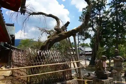 氷室神社の庭園