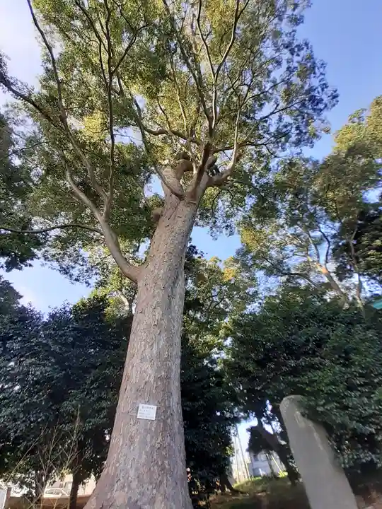 酒門神社(茨城県)
