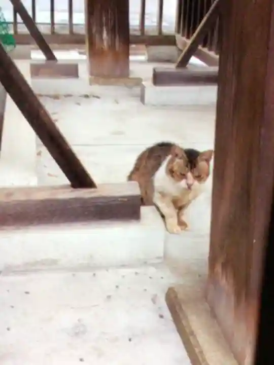 荻窪白山神社(東京都)