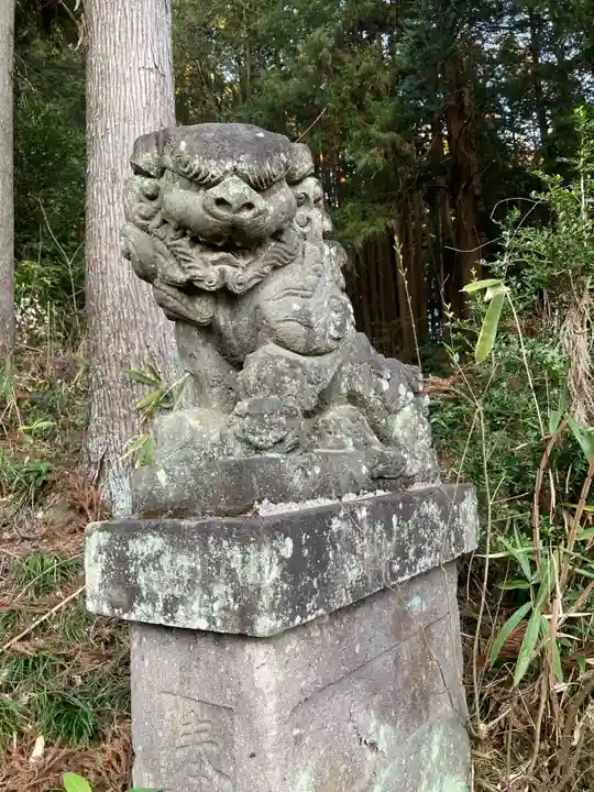 太白神社(小入)の狛犬