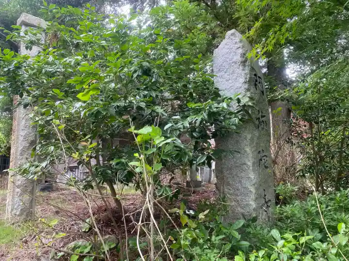 阿弥陀寺(福井県)