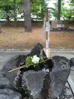 富良野神社の手水舎