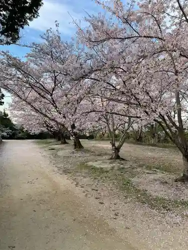 貴船神社の自然
