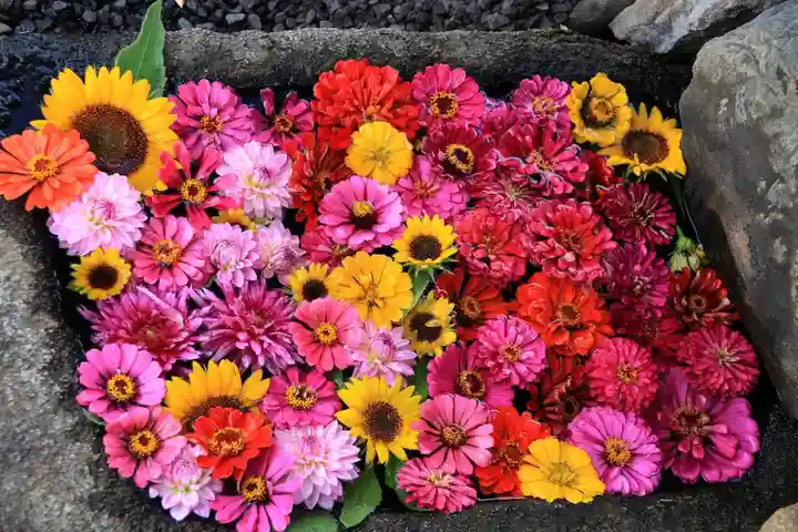 大鏑神社の手水舎