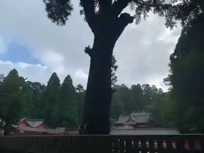 霧島神宮のその他建物