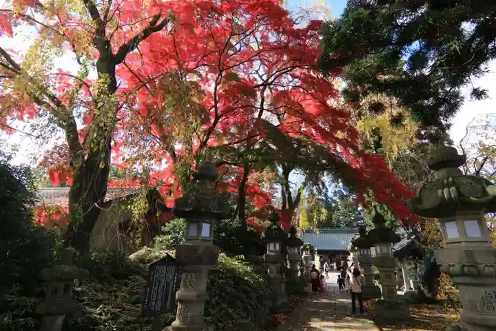 神炊館神社 ⁂奥州須賀川総鎮守⁂の本殿・本堂