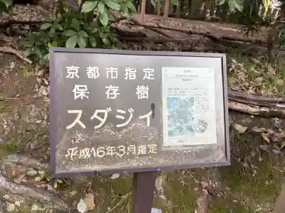 新日吉神宮の{uncategorized: "未分類", other: "その他", undefined: "問題あり", building: "その他建物", grave: "お墓", sacred_gate: "鳥居", guardian: "狛犬", statue: "像", buddha: "仏像", history: "歴史", nature: "自然", garden: "庭園", animal: "動物", pagoda: "塔", temizu: "手水舎", mountain_gate: "山門・神門", sanctuary: "本殿・本堂", subordinate: "末社・摂社", art: "芸術", scenery: "景色", jizo: "地蔵", ema: "絵馬", goshuin: "御朱印", omikuji: "おみくじ", items: "授与品その他", amulet: "お守り", goshuincho: "御朱印帳", eats: "食事", festival: "お祭り", votive_dance: "神楽", shichigosan: "七五三参", wedding: "結婚式", experience: "体験その他", initially: "初詣", around: "周辺", anti_infection: "感染症対策"}