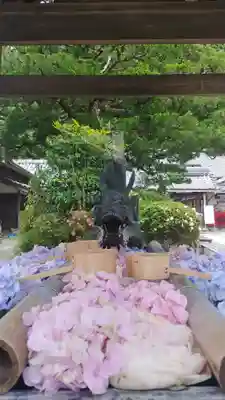 柳谷観音 楊谷寺の手水舎