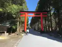 霧島神宮(鹿児島県)