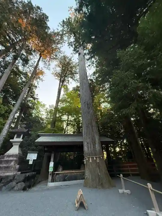 椿大神社(三重県)