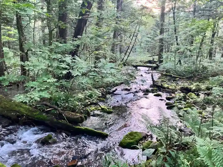 穂高神社奥宮(長野県)