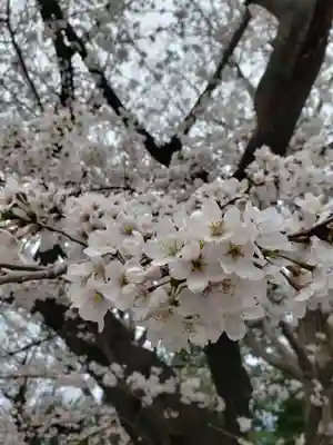 多田神社の自然