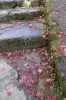 三千院門跡の自然