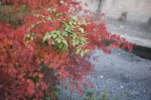 秩父御嶽神社の自然