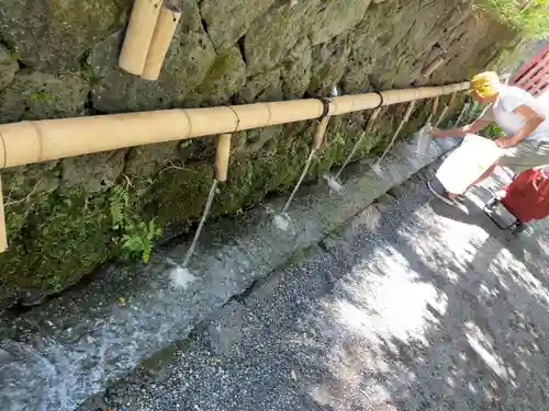 富士山本宮浅間大社の手水舎