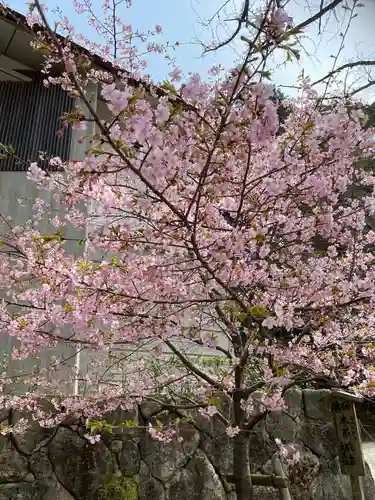 宝満宮竈門神社の自然