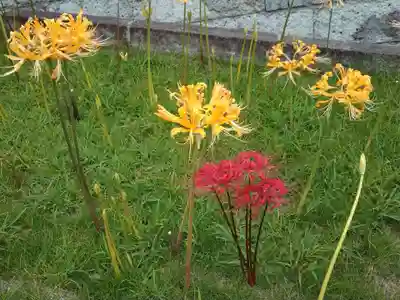 横浜　西方寺(神奈川県)