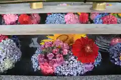 豊景神社の手水