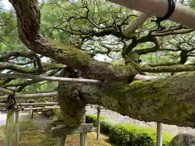 善峯寺(京都府)