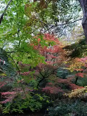 明治神宮(東京都)