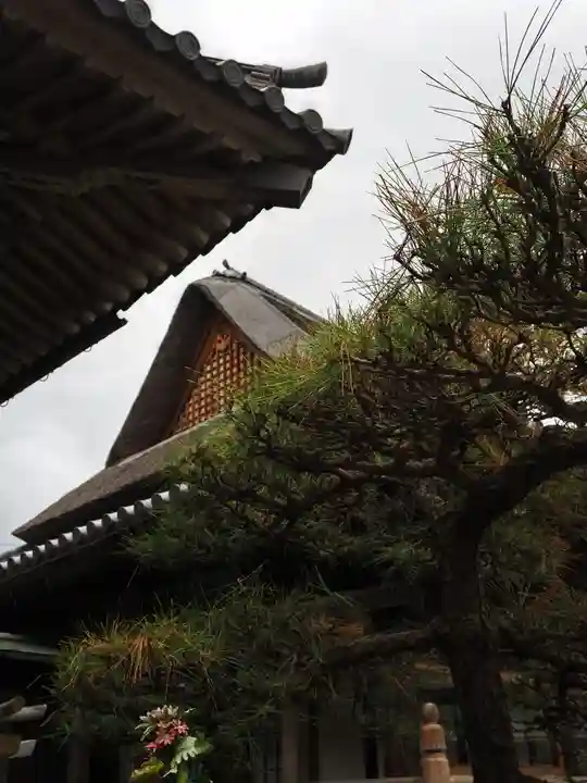 温泉山 安楽寺(四国霊場第六番札所)のその他建物