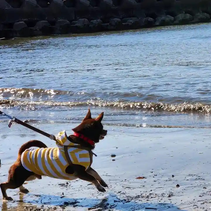 森戸大明神(森戸神社)(神奈川県)