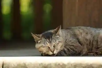 玉野御嶽神社(愛知県)