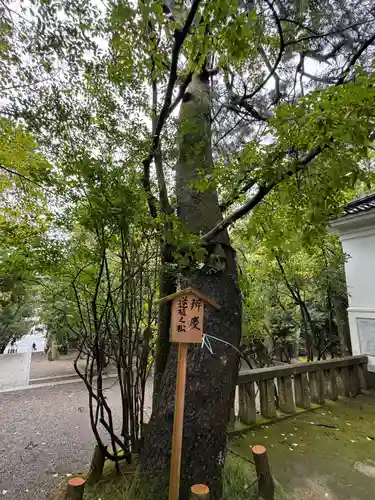 安宅住吉神社(石川県)