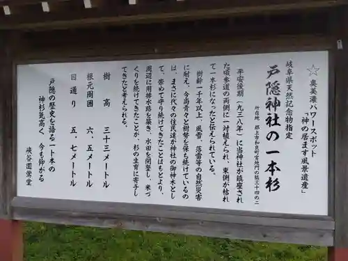 戸隠神社(岐阜県)