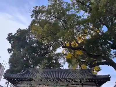 阿保神社(大阪府)
