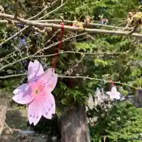 高司神社〜むすびの神の鎮まる社〜(福島県)