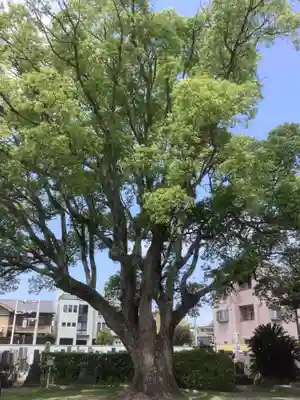 長全寺(愛知県)