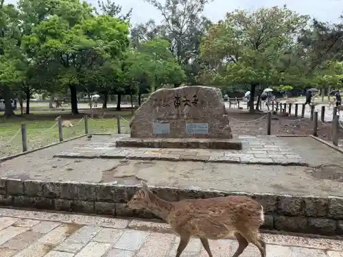 東大寺の{uncategorized: "未分類", other: "その他", undefined: "問題あり", building: "その他建物", grave: "お墓", sacred_gate: "鳥居", guardian: "狛犬", statue: "像", buddha: "仏像", history: "歴史", nature: "自然", garden: "庭園", animal: "動物", pagoda: "塔", temizu: "手水舎", mountain_gate: "山門・神門", sanctuary: "本殿・本堂", subordinate: "末社・摂社", art: "芸術", scenery: "景色", jizo: "地蔵", ema: "絵馬", goshuin: "御朱印", omikuji: "おみくじ", items: "授与品その他", amulet: "お守り", goshuincho: "御朱印帳", eats: "食事", festival: "お祭り", votive_dance: "神楽", shichigosan: "七五三参", wedding: "結婚式", experience: "体験その他", initially: "初詣", around: "周辺", anti_infection: "感染症対策"}