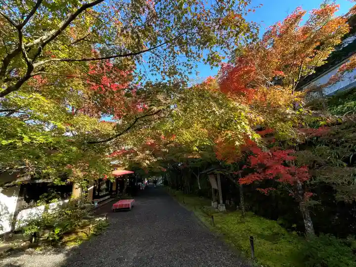 三千院門跡(京都府)
