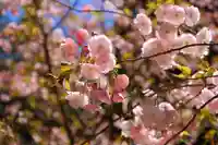 磐椅神社の自然