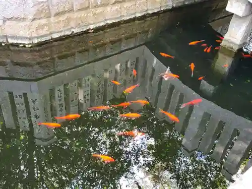 魚吹八幡神社の動物