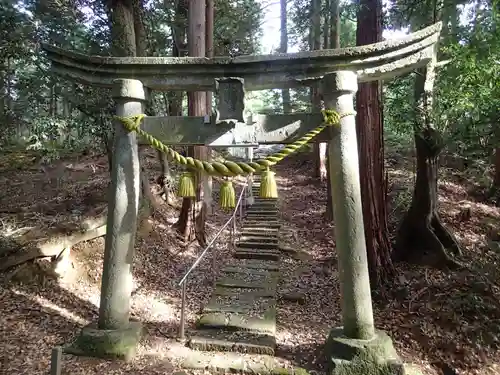 金剱神社の鳥居