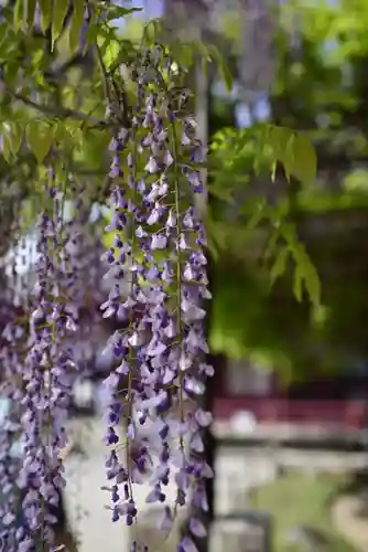笠間稲荷神社の自然