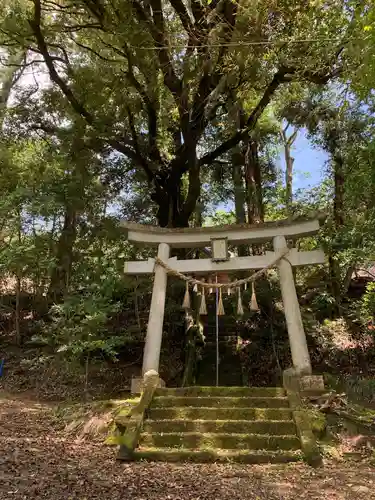 諏訪神社の鳥居