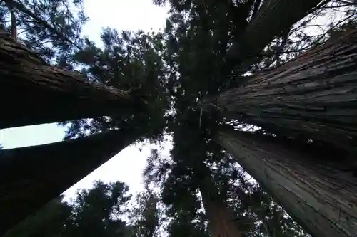 鹿島大神宮の自然