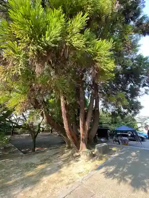 香園寺(愛媛県)