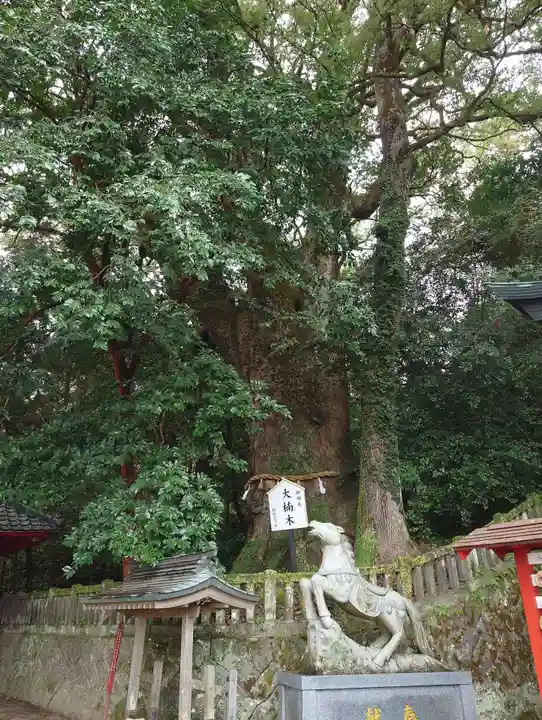 八幡朝見神社の自然