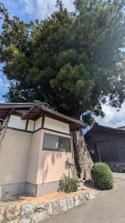 浄楽堂(観音堂)(京都府)