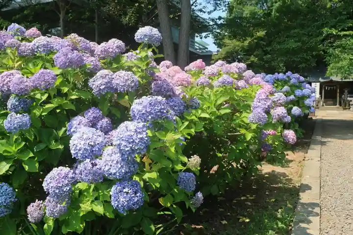 開成山大神宮の庭園