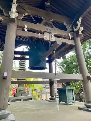 徳蔵院の{uncategorized: "未分類", other: "その他", undefined: "問題あり", building: "その他建物", grave: "お墓", sacred_gate: "鳥居", guardian: "狛犬", statue: "像", buddha: "仏像", history: "歴史", nature: "自然", garden: "庭園", animal: "動物", pagoda: "塔", temizu: "手水舎", mountain_gate: "山門・神門", sanctuary: "本殿・本堂", subordinate: "末社・摂社", art: "芸術", scenery: "景色", jizo: "地蔵", ema: "絵馬", goshuin: "御朱印", omikuji: "おみくじ", items: "授与品その他", amulet: "お守り", goshuincho: "御朱印帳", eats: "食事", festival: "お祭り", votive_dance: "神楽", shichigosan: "七五三参", wedding: "結婚式", experience: "体験その他", initially: "初詣", around: "周辺", anti_infection: "感染症対策"}