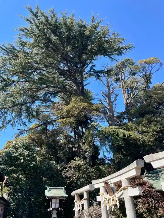 薭田神社の{uncategorized: "未分類", other: "その他", undefined: "問題あり", building: "その他建物", grave: "お墓", sacred_gate: "鳥居", guardian: "狛犬", statue: "像", buddha: "仏像", history: "歴史", nature: "自然", garden: "庭園", animal: "動物", pagoda: "塔", temizu: "手水舎", mountain_gate: "山門・神門", sanctuary: "本殿・本堂", subordinate: "末社・摂社", art: "芸術", scenery: "景色", jizo: "地蔵", ema: "絵馬", goshuin: "御朱印", omikuji: "おみくじ", items: "授与品その他", amulet: "お守り", goshuincho: "御朱印帳", eats: "食事", festival: "お祭り", votive_dance: "神楽", shichigosan: "七五三参", wedding: "結婚式", experience: "体験その他", initially: "初詣", around: "周辺", anti_infection: "感染症対策"}