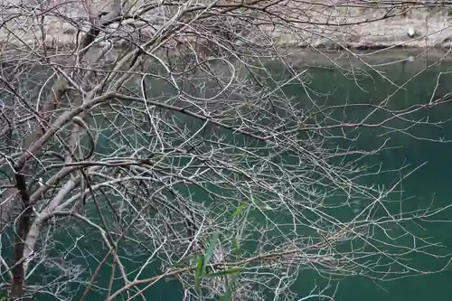 霊光寺の自然