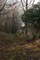 野鹿池神社(徳島県)